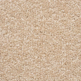 The Hamptons Rug Sample