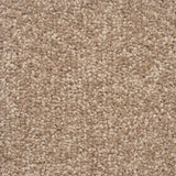 The Hamptons Rug Sample